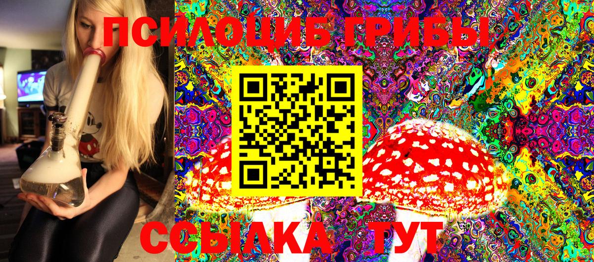 Галлюциногенные грибы Psilocybe Мценск