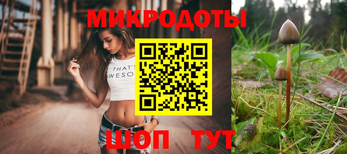 Мценск  Псилоцибиновые грибы ЛСД  Вход с VPN 